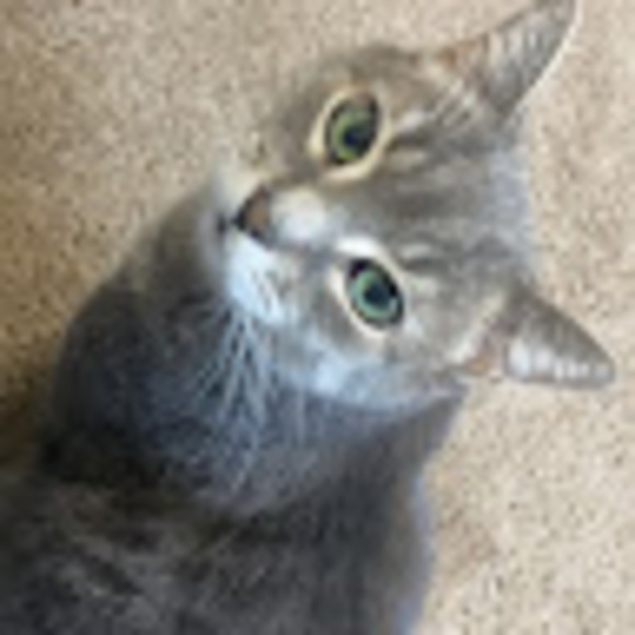 Meet your Posher, Tegan - Picture 1 of 1